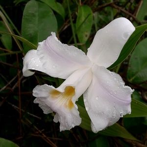 Meet your Posher, Jody